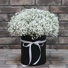 Цветочная композиция из Гипсофила в шляпной коробке в Ялуторовске